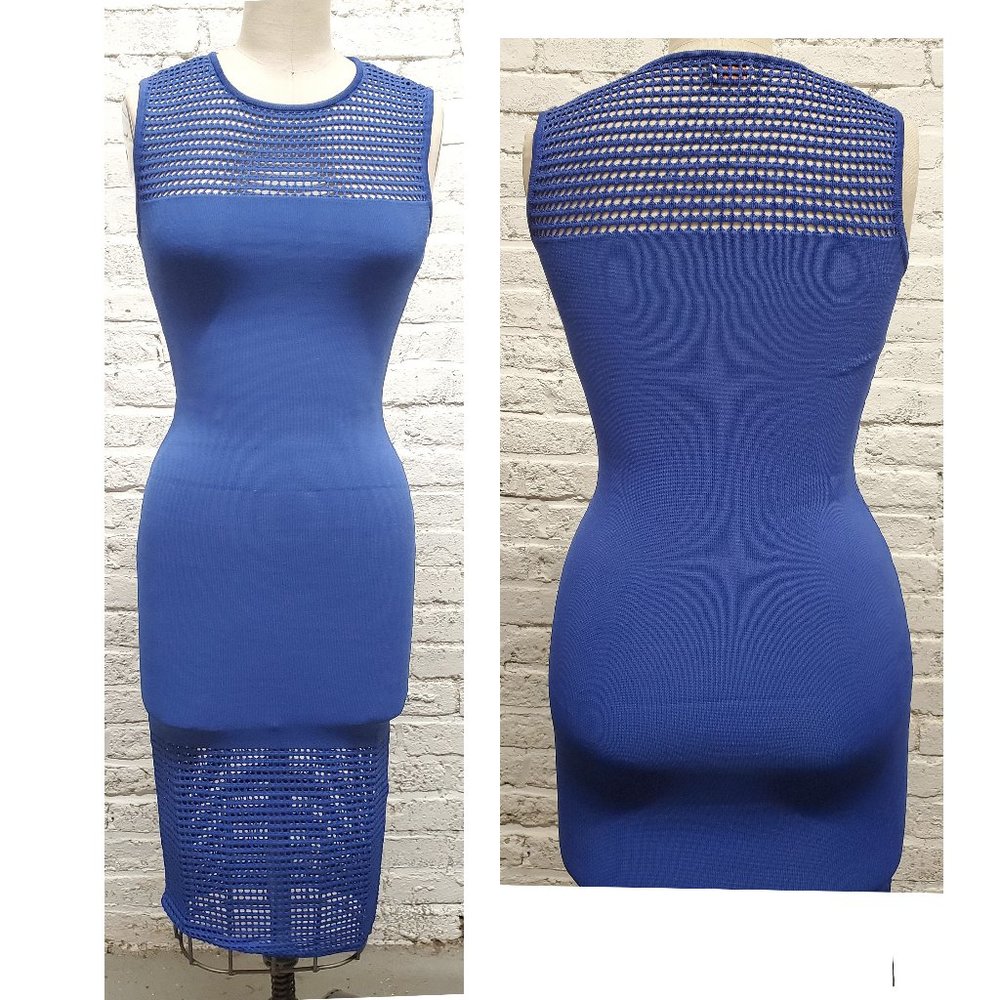Torn by Ronny Kobo Blue Dress